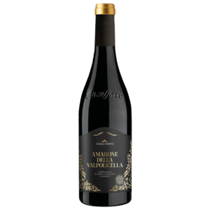 Casalforte Amarone della Valpolicella